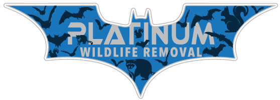 Michigan Wildlife Control LLC